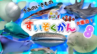 水族館へ行こう！8【子供向け 海の生き物アニメ】海のいきもの お魚さんたちが大集合！マンタ シロイルカ ジンベエザメなど人気の生き物たちが大集合◎15種類の名前を覚えよう【知育動画】 [upl. by Noram]