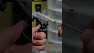 Baja Saltwater Streamer Fly Tying Session 2 [upl. by Keyser82]