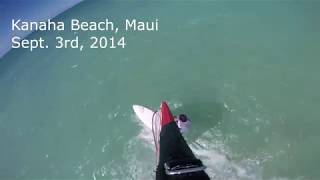 Windsurfing Kanaha Beach [upl. by Atem]