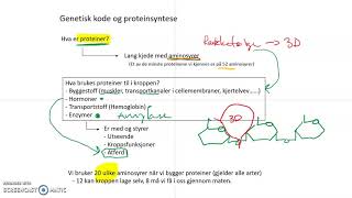 Arv Genetikk Bioteknologi episode 3 Genetisk kode og proteinsyntese [upl. by Egidius]