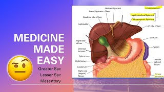 Peritoneal Cavity Greater Sac Lesser Sac Mesentery  MEDICINE MADE EASY [upl. by Mafala]