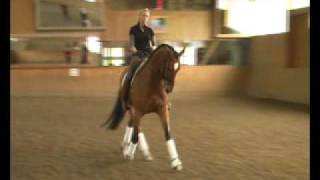 DressagehorseGrand Prix [upl. by Ennad]