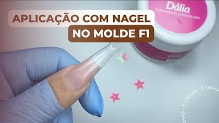 Aplicação no Molde F1 com Nagel Dália [upl. by Con414]