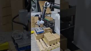 Cobot palletizer for boxes and cardboad sheets cobotpalletizer robotpalletizer [upl. by Shien]