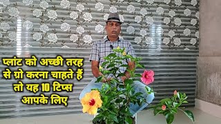 बगीचे के सारे प्लांट दनादन बढ़ेंगे बस इन 10 बातों का ध्यान रखें 10 important gardening tips amp care [upl. by Reinald270]