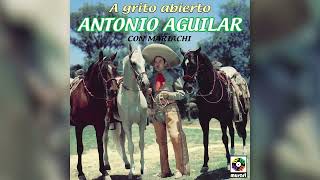 Antonio Aguilar – Noches Tenebrosas Visualizador Oficial [upl. by Johnston]