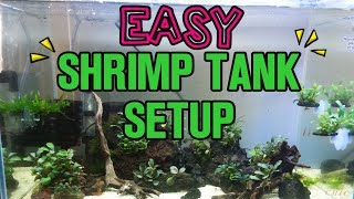 SUPER EASY SHRIMP TANK SETUP for NEOCARIDINA SHRIMP [upl. by Jemine]