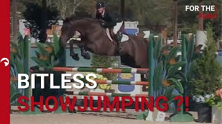 Bitless Showjumping at the HITS Ocala January Festival I 120 WITHOUT a bridle 😱 [upl. by Asemaj874]