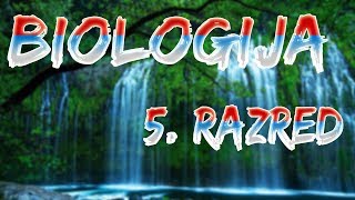 Skola  Biologija 5 Razred  Mahovine [upl. by Lattimer]