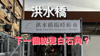 【北都】 洪水橋新市鎮 下一個啟德白石角？ 洪水橋廈村新發展區 生活配套與未來發展 [upl. by Karlise]