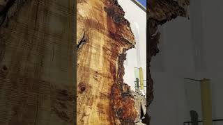 Cottonwood slabs for sale woodworking [upl. by Notsud]