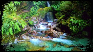 SECRETS of Haast Pass 🇳🇿 New Zealands EPIC Hidden Gem [upl. by Shulman]