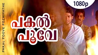 Pakal Poove Pozhiyathe  1080p  Chronic Bachelor  Lalu Alex  Sabitha Anand Mohan Ayiroor  Biyon [upl. by Volpe527]