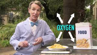 Why Does Exercise Make You TiredConsider the Following With Bill Nye [upl. by Waylan]