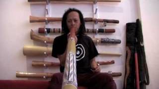 How to Play Didgeridoo  Technique Tooting Overtones Horns Video 3 of 3 [upl. by Amie]