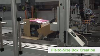 CVP Automated Packaging Solution [upl. by Malissia937]