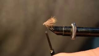 Fly Tying ICE  BROWN SEDGE [upl. by Loos918]