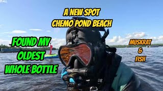 Found My Oldest Bottle  Diving amp Underwater Metal Detecting Chemo Pond Beach mondaydigs bottle [upl. by Ataynek475]