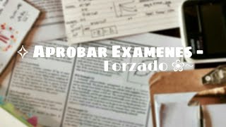 âœ§ Aprobar exÃ¡menes â€” Forzado  Subliminal [upl. by Stilla]