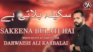 Shahadat Bibi Sakeena sa  Noha 2024  Darwaish Ali Karbalai [upl. by Eleinad]