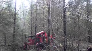 Fellerbuncher and skidder working at Hanson Family Forest [upl. by Eitac602]