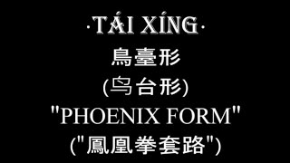 PHOENIX • TÁI XÍNG • FULL FORM 鳥臺形鸟台形套路 [upl. by Ori]