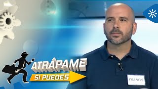 Atrápame si puedes TOP  Programa 14 [upl. by Mastic]