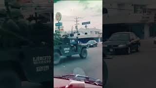 Pollitos de colores salen huyendo despavoridos ante la presencia de elementos del Ejército mexicano [upl. by Aneekahs]