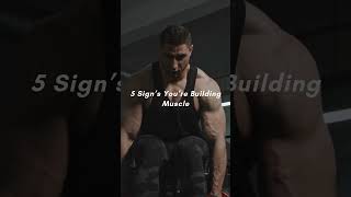 5 Signs Youre Building Muscle [upl. by Eelegna870]