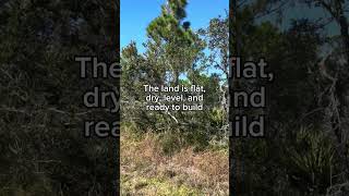 023 acres for sale in Lake Placid FL [upl. by Annaig]