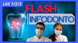 JTut  LAS 123 Flash Inf’Odonto  Ep 4  Amélogénèse [upl. by Ailedua914]