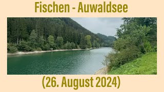 Fischen  Auwaldsee 26 August 2024 [upl. by Colombi221]