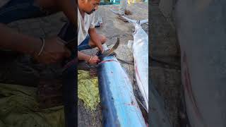 The Fastest Fish Filleting Youve Ever Seen 4k fishing vizag [upl. by Ssalguod]