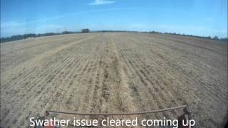 Soybeans Combining soybeans near Hillsboro Oregon 9132012 [upl. by Eirallam]