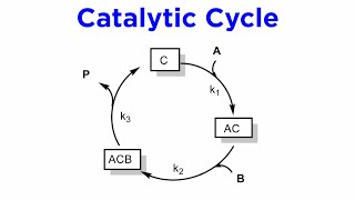 Principles of Homogeneous Catalysis [upl. by Spike]