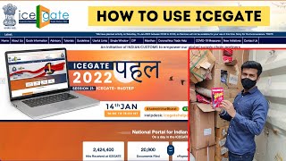 What Is IceGate  CBIC  DGFT  What Should You Know [upl. by Mariejeanne]