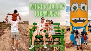 MOAPA VALLEY CORNMAZE  55 mins from LAS VEGAS STRIP [upl. by Siegfried32]