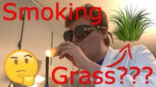 DrWeesnaws Lab  SMOKING GRASS EXPERIMENT [upl. by Htrahddis]