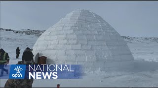 Qaggiq Building a massive igloo in Nunavut  APTN News [upl. by Ammamaria]