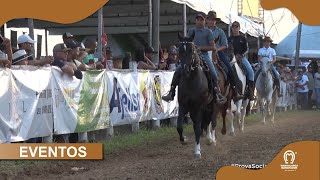 PROVAS SOCIAIS DE GUARAPARI [upl. by Yalc430]