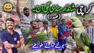 Sadar Exotic Parrots amp Birds Market 2024 Latest Update in Urdu Hindi  Saddar Sunday Birds Market [upl. by Paquito]