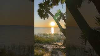 Silent Hiking at St Marks National Wildlife Refuge [upl. by Alvar]