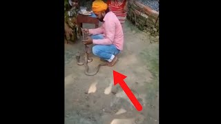 Man Dies After Snake Bite [upl. by Suirauqram]