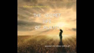 Mario Rosini  THE SECRET LIFE OF PLANTS SWonder [upl. by Eseyt285]