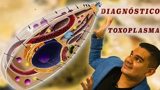 DIAGNÓSTICO  TOXOPLASMA ✏️ 【𝑀𝐸𝐷𝐼𝐶𝐼𝑁𝐴 𝑉𝐸𝑇𝐸𝑅𝐼𝑁𝐴𝑅𝐼𝐴】 [upl. by Eelsew570]