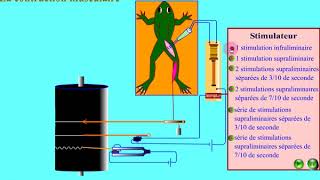 SVTLetude experimentale de la contraction musculaire [upl. by Bergman]