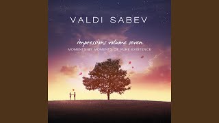 Valdi Sabev  I am Feeling Good [upl. by Aniuqal711]