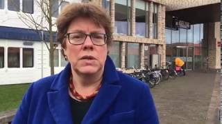 Raad voor Cultuur Liesbet van Zoonen [upl. by Ida48]