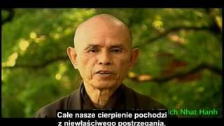 Thich Nhat Hanh PL  What is Nirvana  Nibbana  czym jest nirvana  nibbana [upl. by Woothen]