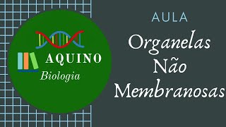 Organelas não membranosas  Ribossomos e Centríolos  Prof Aquino Bio [upl. by Leigh]